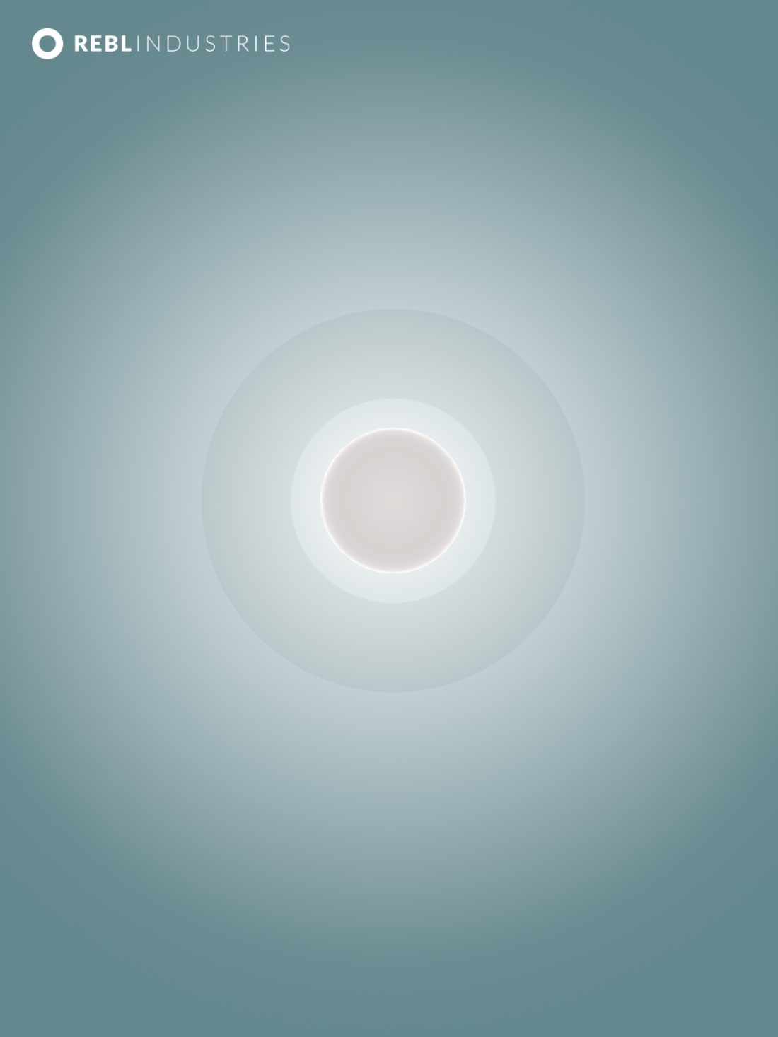 Idle companion screen